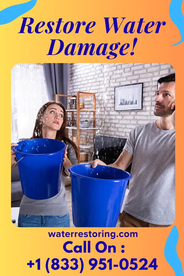 water restoration Expert Water Removal Services Campton Hills